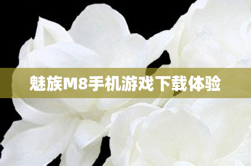 魅族M8手机游戏下载体验图片