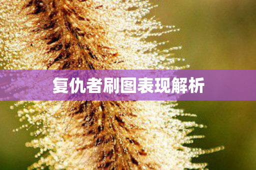 复仇者刷图表现解析图片