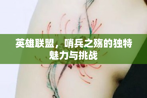 哨兵之殇的独特魅力与挑战图片