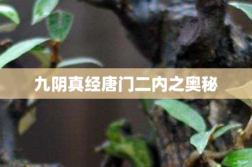 九阴真经唐门二内之奥秘图片