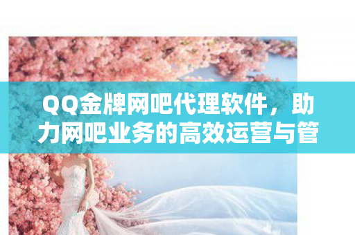 助力网吧业务的高效运营与管理图片