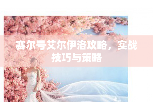 赛尔号艾尔伊洛攻略图片