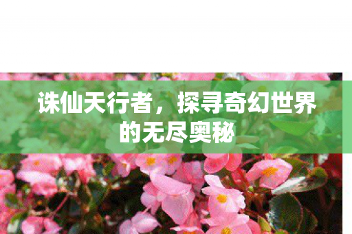 探寻奇幻世界的无尽奥秘图片