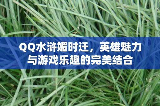 英雄魅力与游戏乐趣的完美结合图片