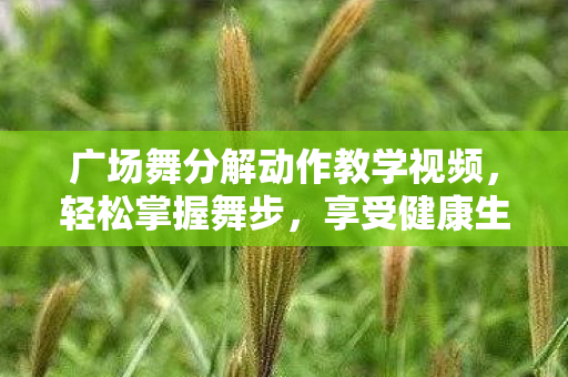 广场舞分解动作教学视频图片