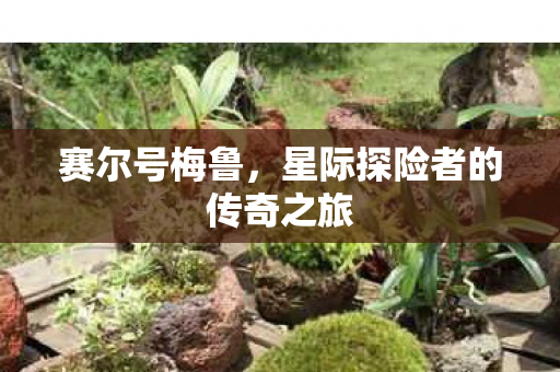 星际探险者的传奇之旅图片