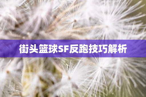 街头篮球SF反跑技巧解析图片