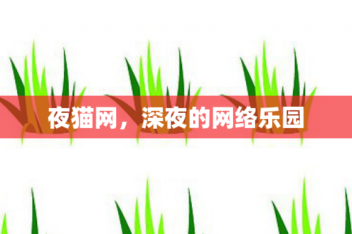 深夜的网络乐园图片