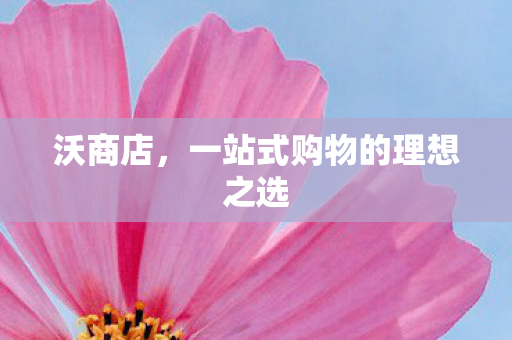 一站式购物的理想之选图片