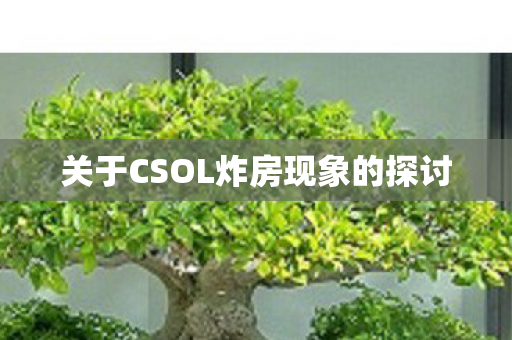 关于CSOL炸房现象的探讨图片
