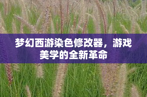 梦幻西游染色修改器图片