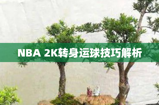 NBA 2K转身运球技巧解析图片