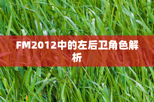 FM2012中的左后卫角色解析图片
