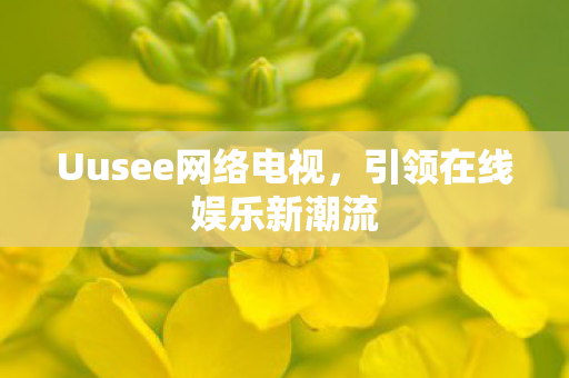Uusee网络电视图片