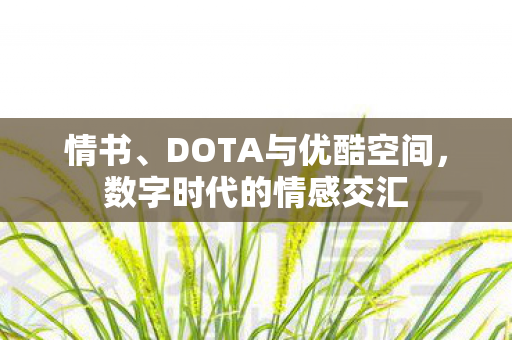 DOTA与优酷空间图片
