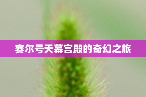 赛尔号天幕宫殿的奇幻之旅图片