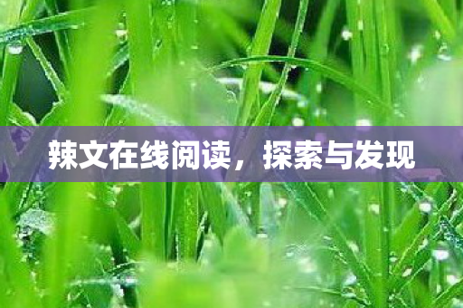 辣文在线阅读图片