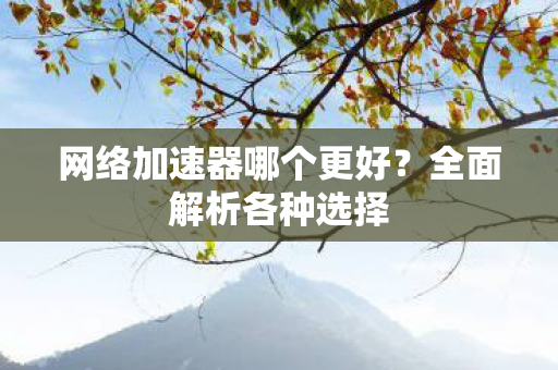 网络加速器哪个更好图片