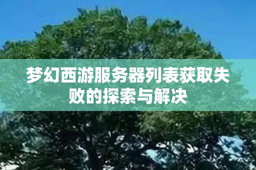 梦幻西游服务器列表获取失败的探索与解决图片