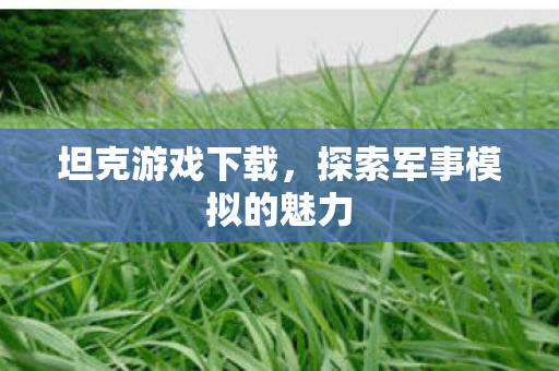 探索军事模拟的魅力图片