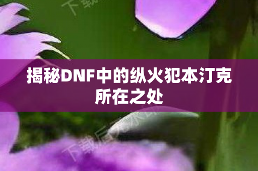 揭秘DNF中的纵火犯本汀克所在之处图片