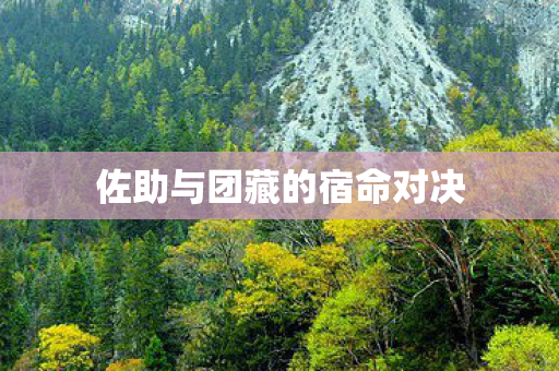 佐助与团藏的宿命对决图片