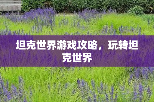 坦克世界游戏攻略图片