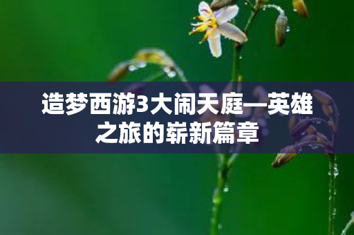 造梦西游3大闹天庭图片