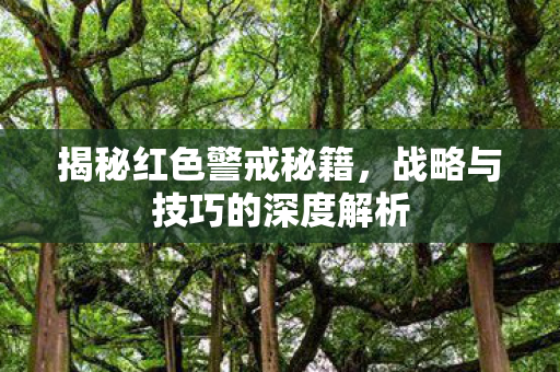 战略与技巧的深度解析图片