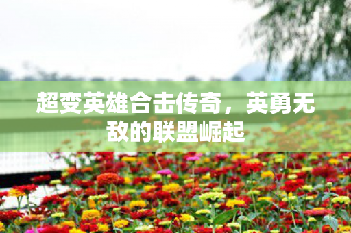 英勇无敌的联盟崛起图片