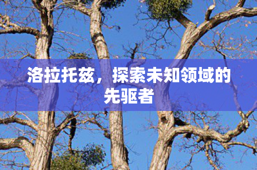 探索未知领域的先驱者图片