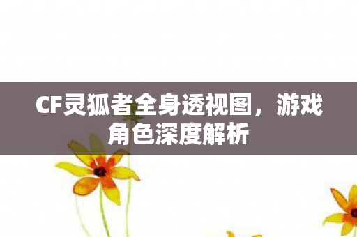 CF灵狐者全身透视图图片