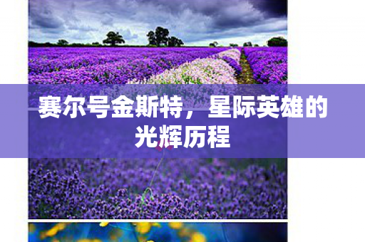 星际英雄的光辉历程图片