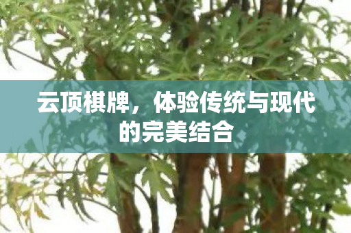 体验传统与现代的完美结合图片