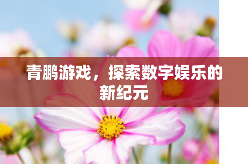 探索数字娱乐的新纪元图片