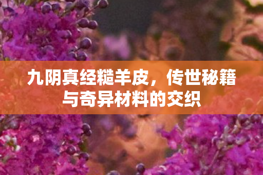传世秘籍与奇异材料的交织图片