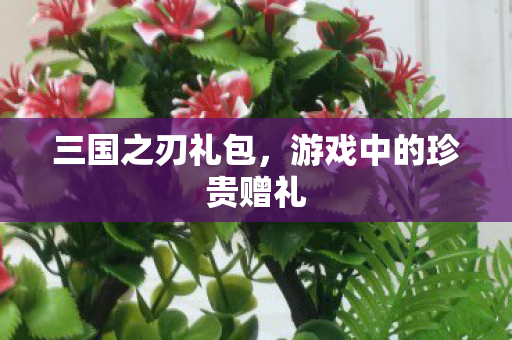 游戏中的珍贵赠礼图片