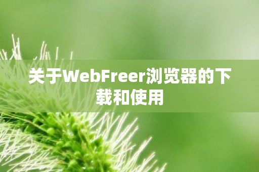 关于WebFreer浏览器的下载和使用图片