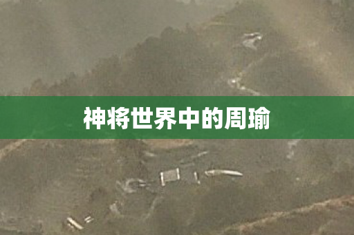 神将世界中的周瑜图片