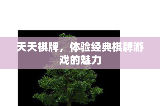 体验经典棋牌游戏的魅力图片