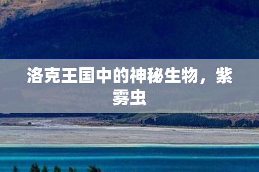 洛克王国中的神秘生物图片