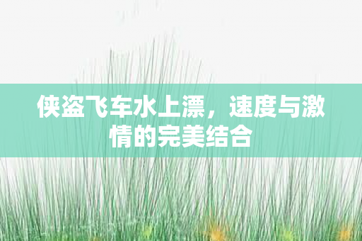 速度与激情的完美结合图片