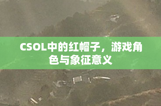 CSOL中的红帽子图片