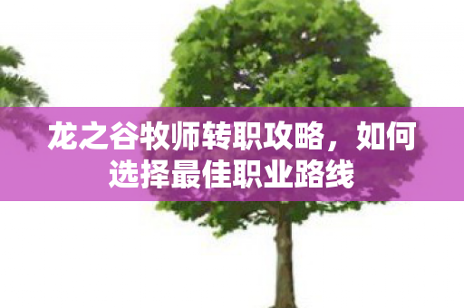 如何选择最佳职业路线图片
