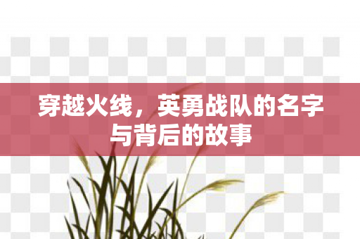 英勇战队的名字与背后的故事图片