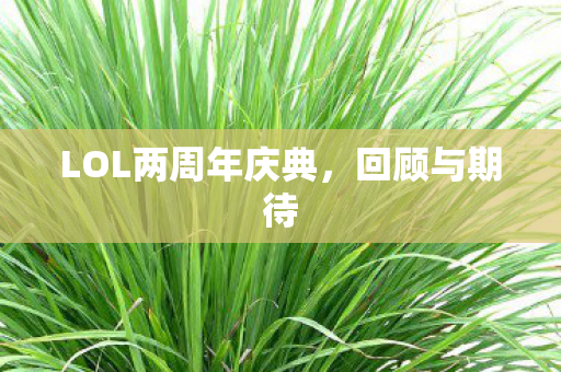 LOL两周年庆典图片