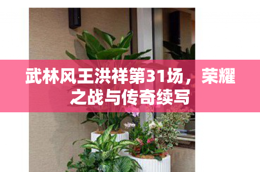 武林风王洪祥第31场图片