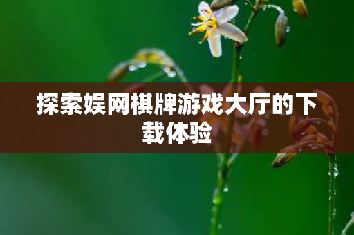 探索娱网棋牌游戏大厅的下载体验图片
