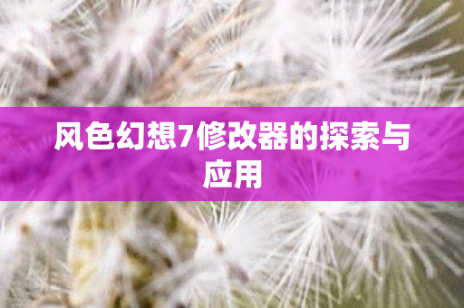 风色幻想7修改器的探索与应用图片
