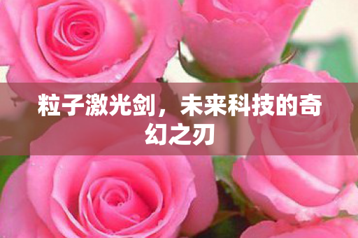 未来科技的奇幻之刃图片
